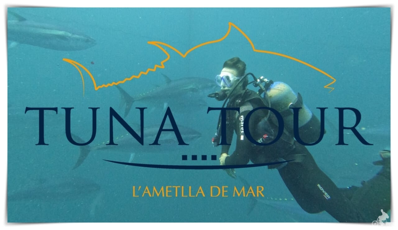 nadar con atunes tuna tour ametlla de mar delta del ebro